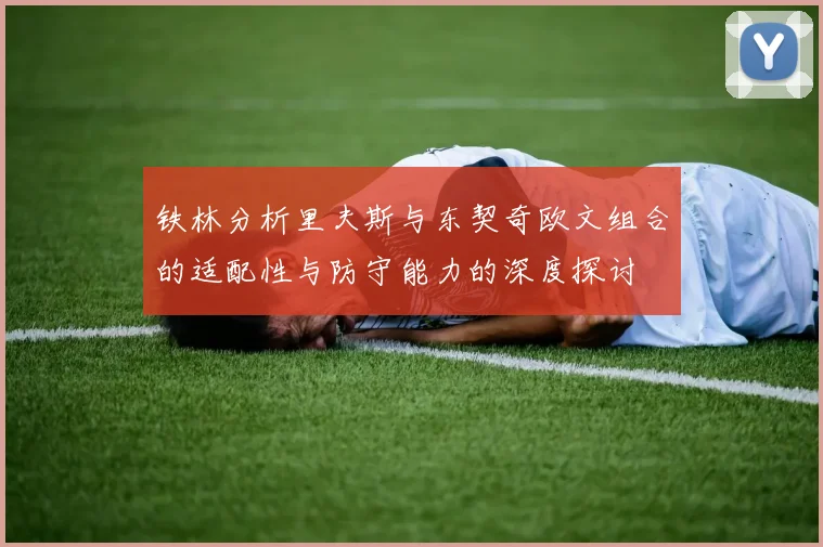 铁林分析里夫斯与东契奇欧文组合的适配性与防守能力的深度探讨